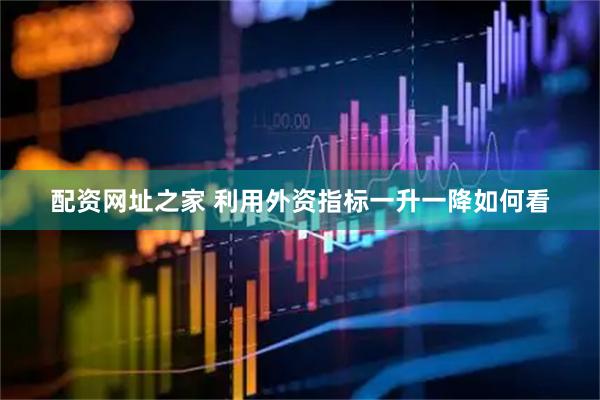 配资网址之家 利用外资指标一升一降如何看