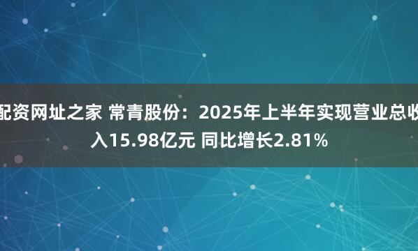 配资网址之家 常青股份：2025年上半年实现营业总收入15.98亿元 同比增长2.81%