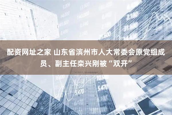 配资网址之家 山东省滨州市人大常委会原党组成员、副主任栾兴刚被“双开”