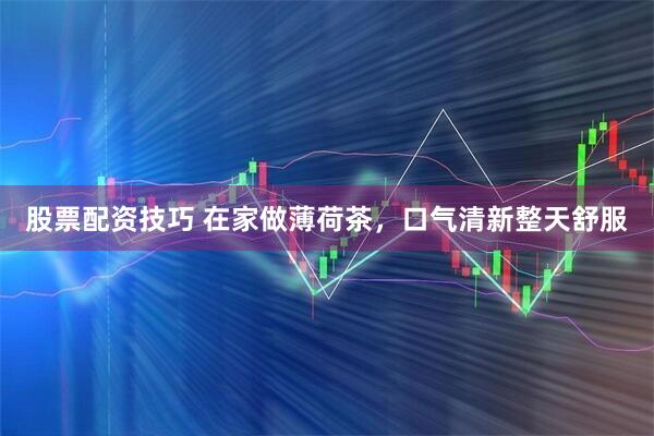 股票配资技巧 在家做薄荷茶，口气清新整天舒服
