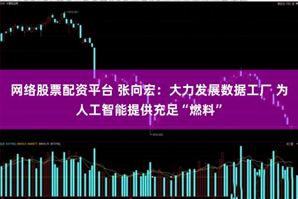网络股票配资平台 张向宏：大力发展数据工厂 为人工智能提供充足“燃料”