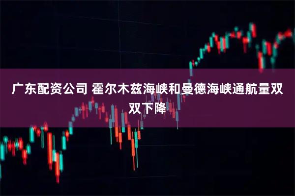 广东配资公司 霍尔木兹海峡和曼德海峡通航量双双下降